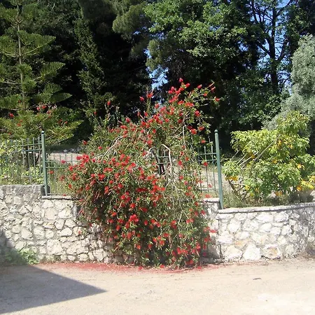 Evgenia Lefkada 아파트 *
